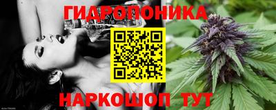 круглые Лесосибирск
