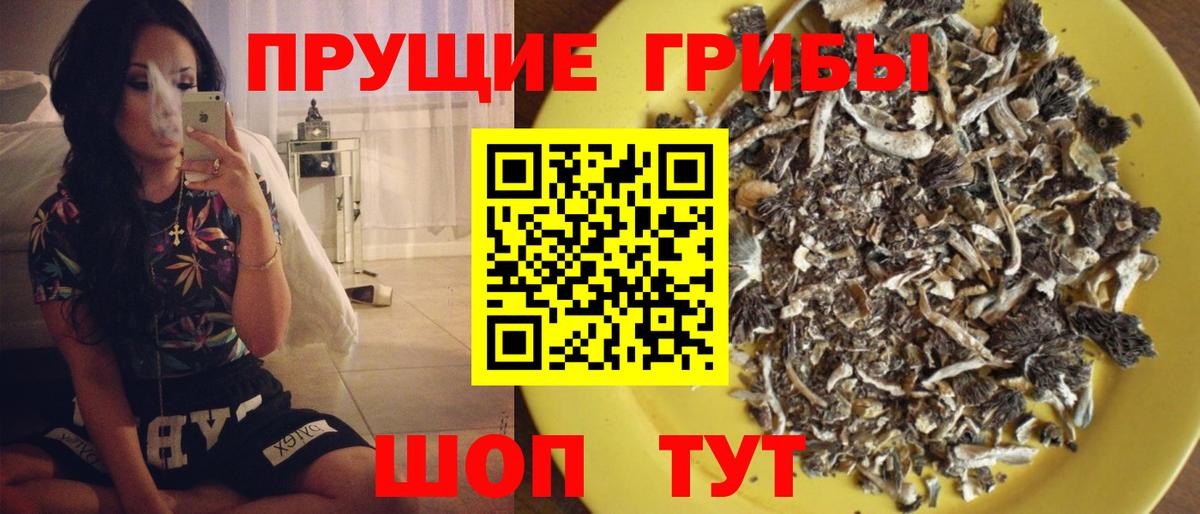 Галлюциногенные грибы прущие грибы Елец